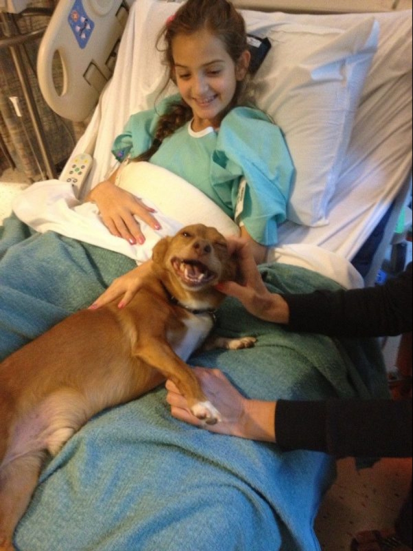 25 perros que harán de su día más feliz