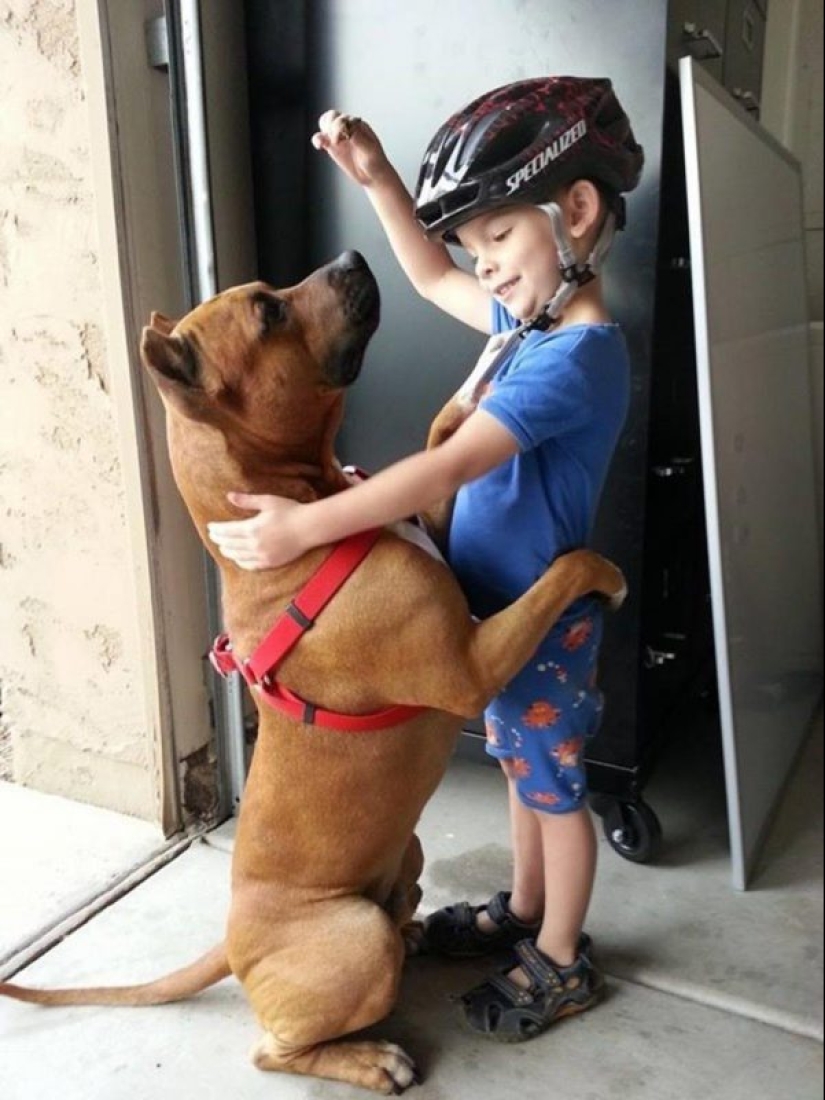 25 perros que harán de su día más feliz