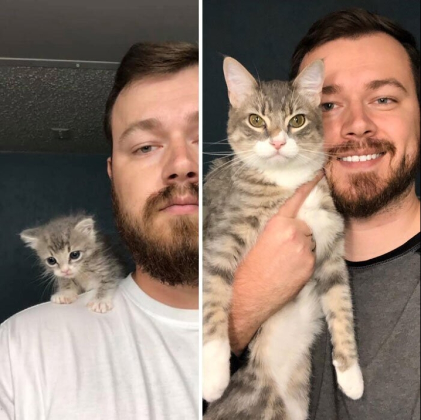 25 photos of cats before and after they were picked up from the street