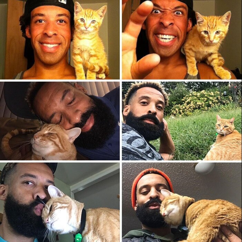 25 photos of cats before and after they were picked up from the street