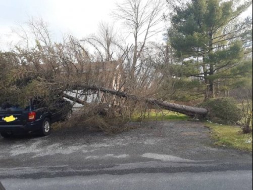 25 photos of people who clearly have big problems with luck