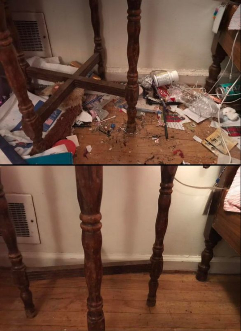 25 photos that you'll want to clean up after viewing 25 photos that you'll want to clean up after viewing