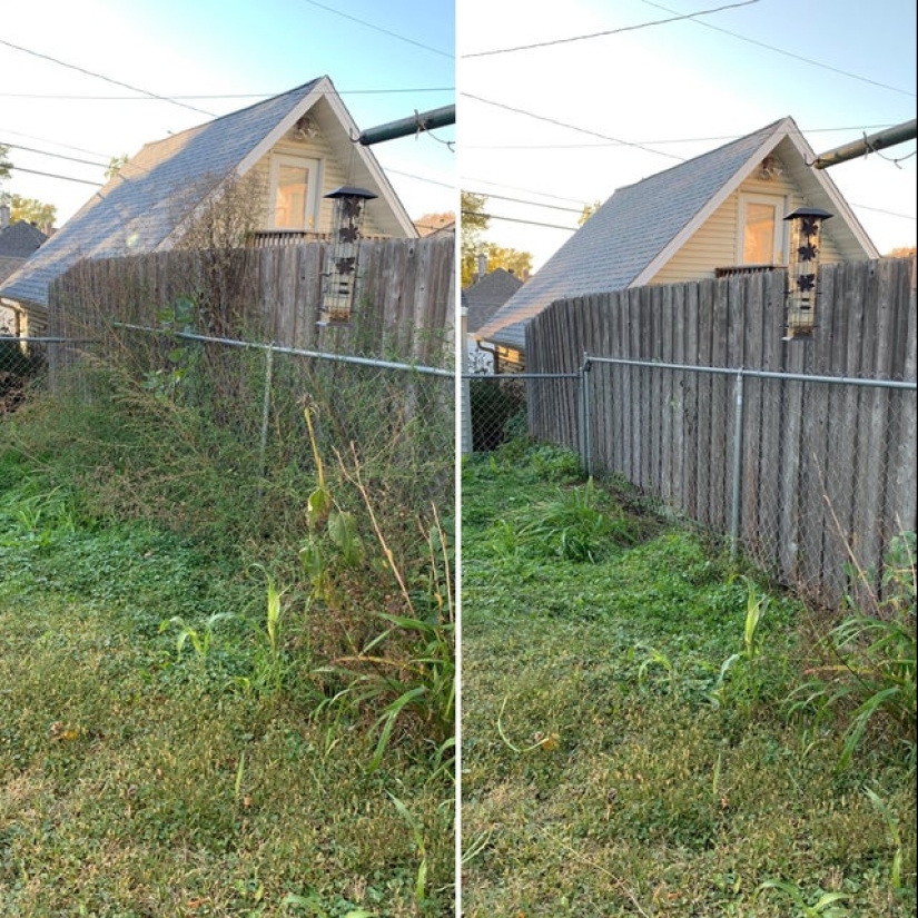 25 photos that you'll want to clean up after viewing 25 photos that you'll want to clean up after viewing