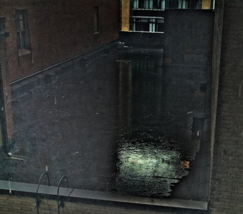 25 photos that'll have to look twice 25 photos that'll have to look twice