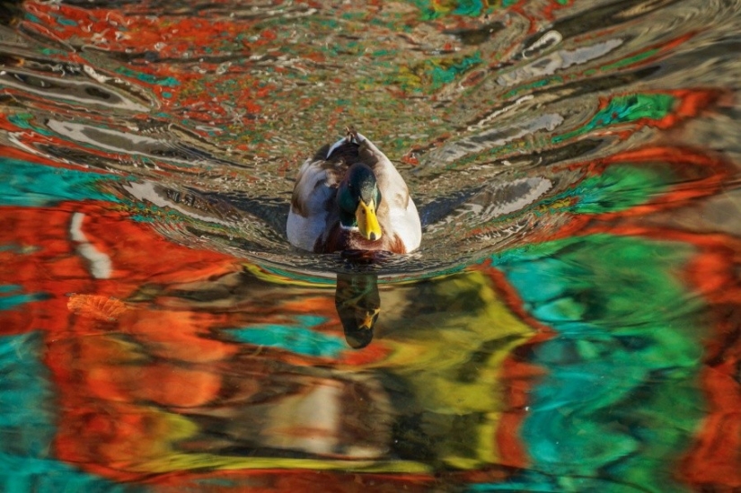 25 photos that'll have to look twice 25 photos that'll have to look twice