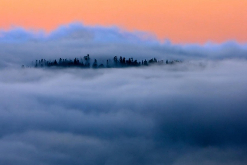 25 photos that'll have to look twice 25 photos that'll have to look twice