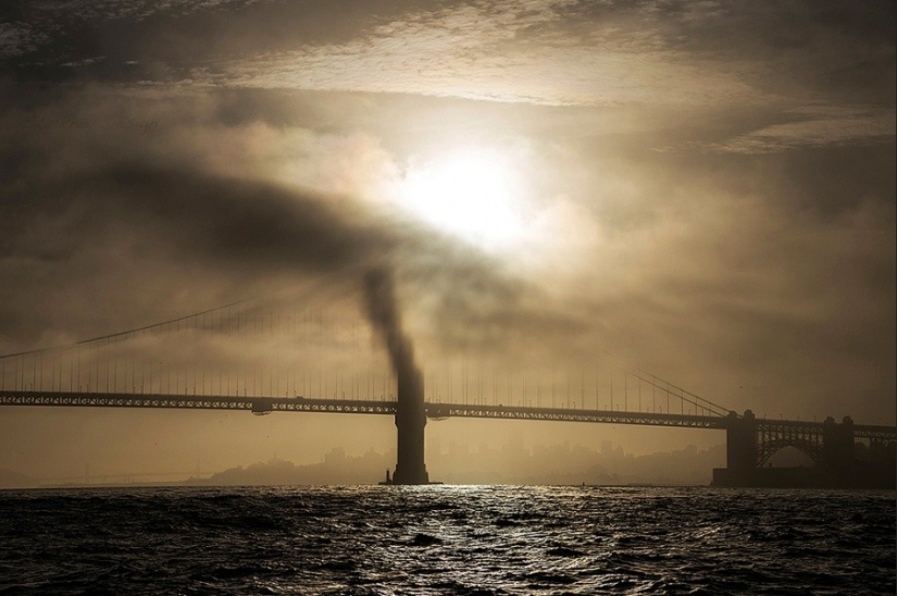 25 photos that'll have to look twice 25 photos that'll have to look twice