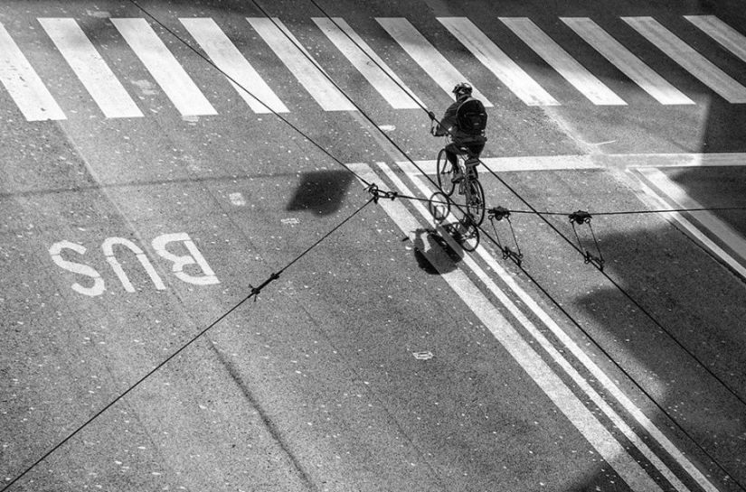 25 photos that'll have to look twice 25 photos that'll have to look twice