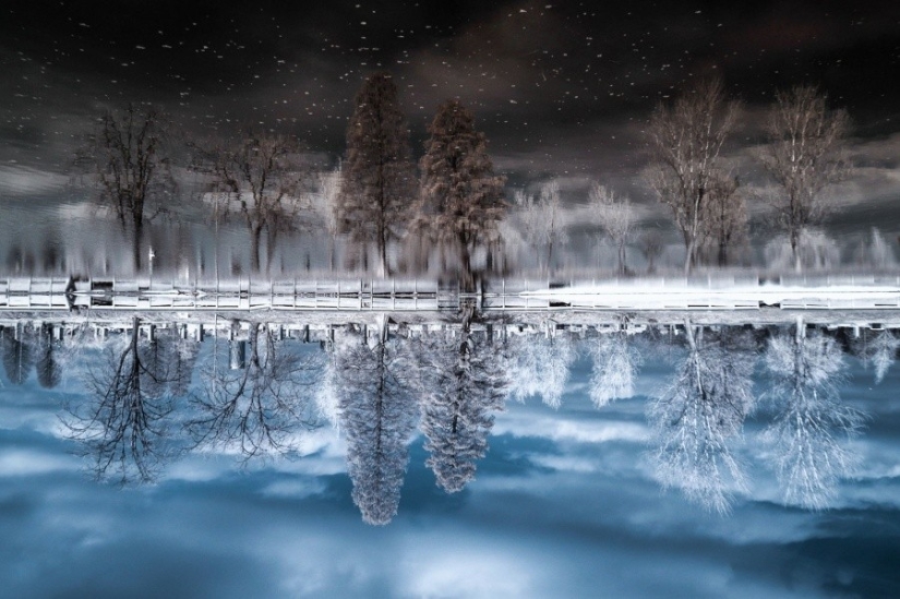 25 photos that'll have to look twice 25 photos that'll have to look twice