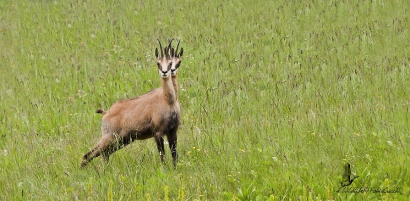 25 photos that'll have to look twice 25 photos that'll have to look twice