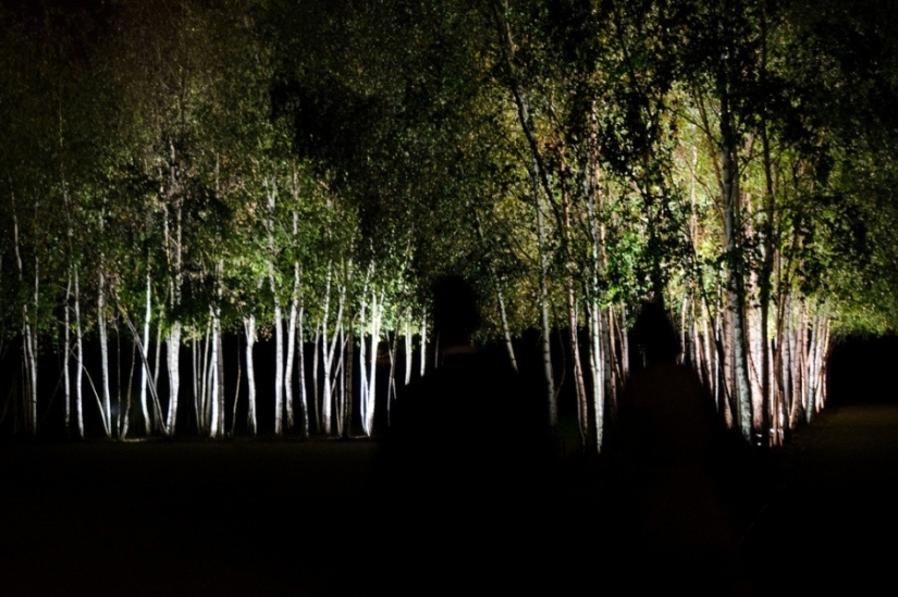 25 photos that'll have to look twice 25 photos that'll have to look twice