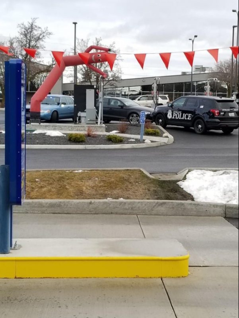 25 photos where all the fun happens in the background