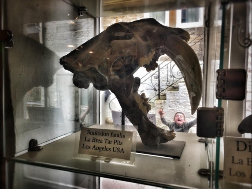 25 photos where all the fun happens in the background