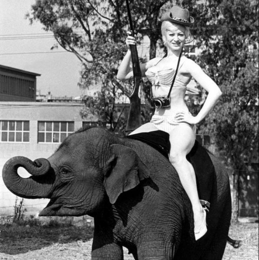 25 seductive photos of the heartbreaker Sabrina, the British Marilyn Monroe 25 seductive photos of the heartbreaker Sabrina, the British Marilyn Monroe