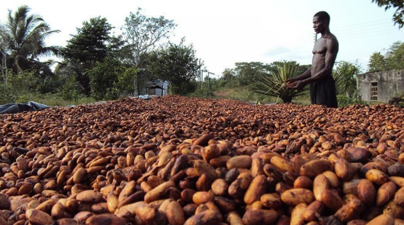 25 "sweet" facts about chocolate