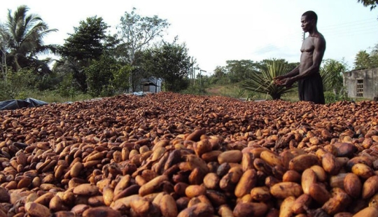 25 "sweet" facts about chocolate 25 "sweet" facts about chocolate