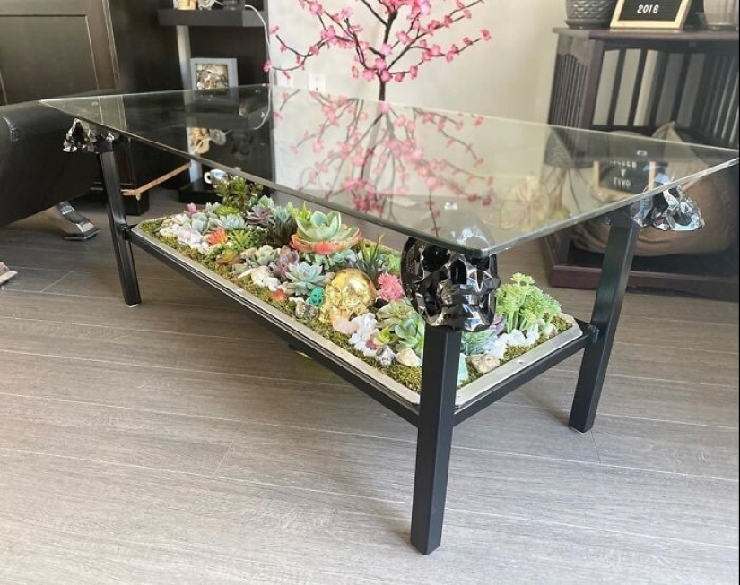 25 tables with" gardens " of succulents