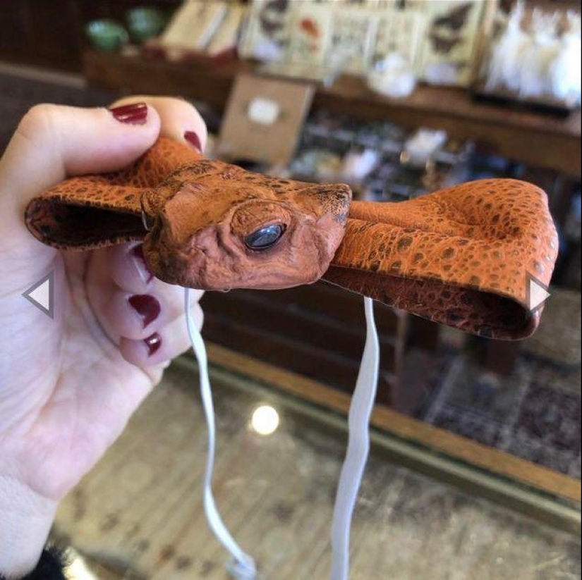 25 times when people came up with a complete game, but they did it so well that they surprised everyone 25 times when people came up with a complete game, but they did it so well that they surprised everyone