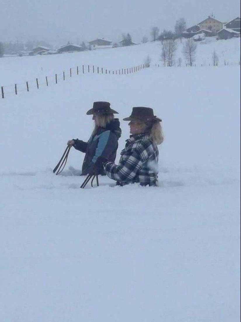 25 times when people have declared war on logic and won it 25 times when people have declared war on logic and won it