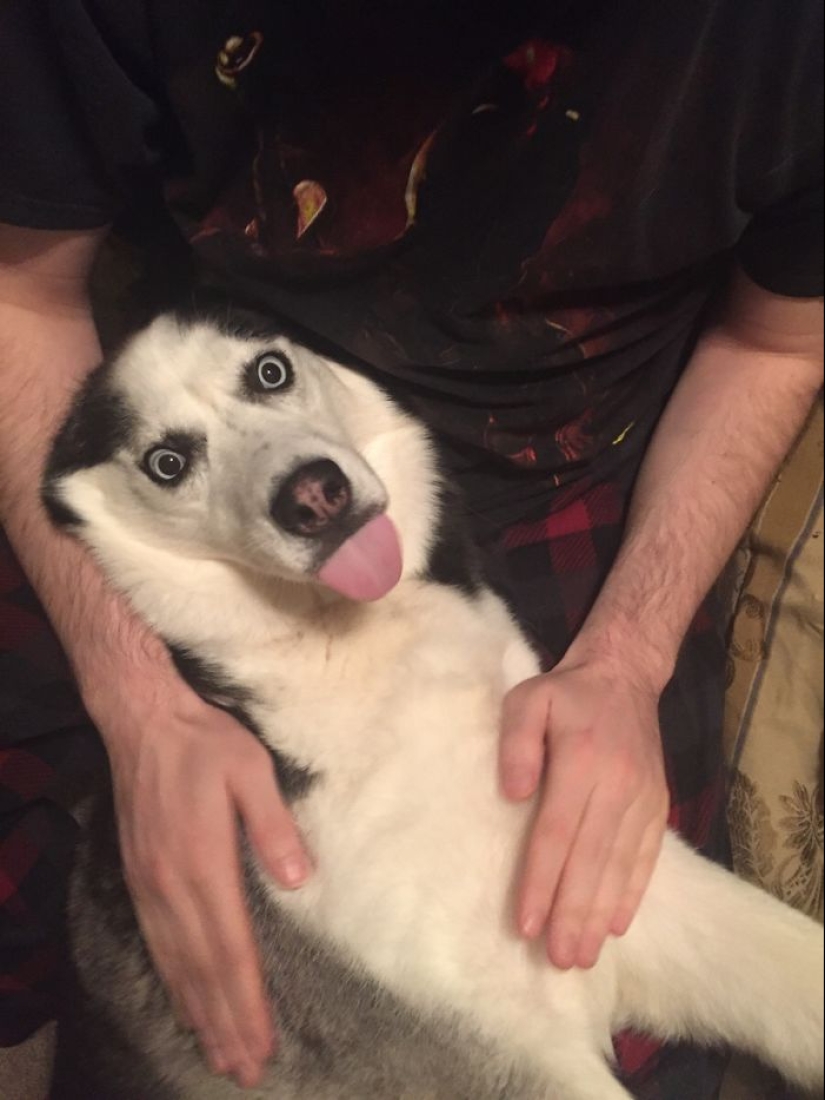 25 touching animals that "don't feed bread", just let them show their tongue 25 touching animals that "don't feed bread", just let them show their tongue