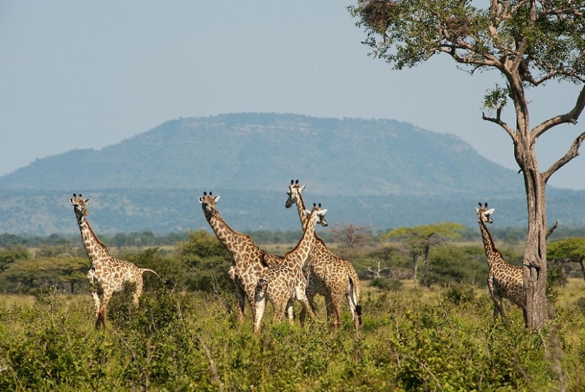 25 tourist destinations you probably Haven't heard of