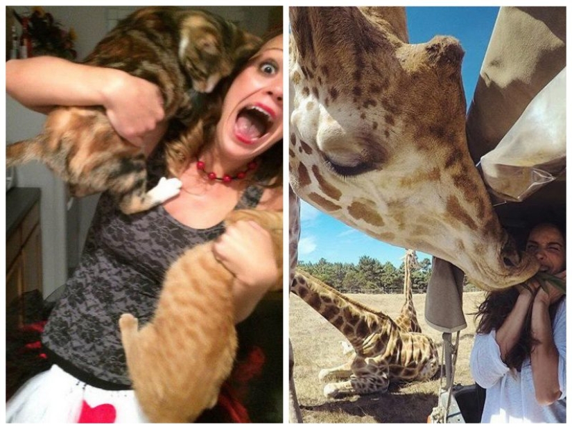 25 unexpected photos that were taken at just the right moment