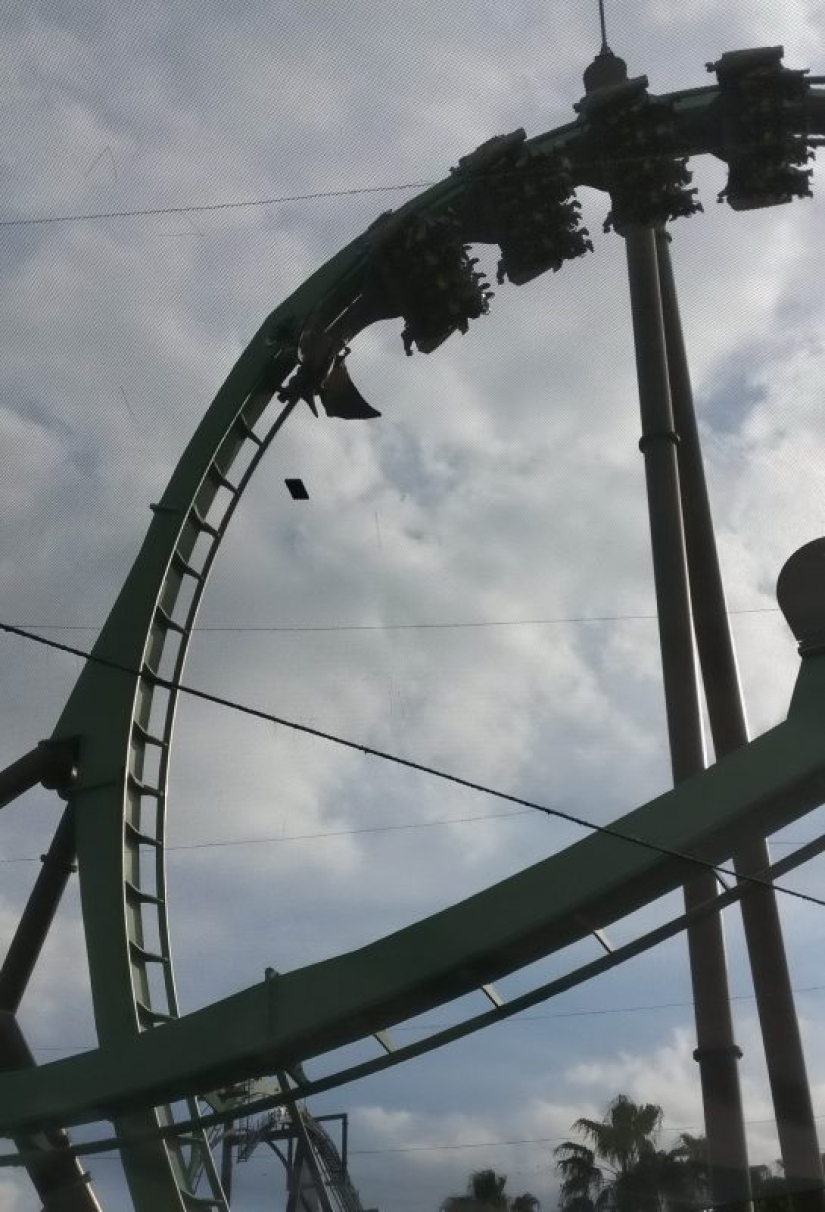 25 unexpected photos that were taken at just the right moment