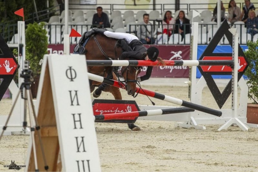 25 unexpected photos that were taken at just the right moment