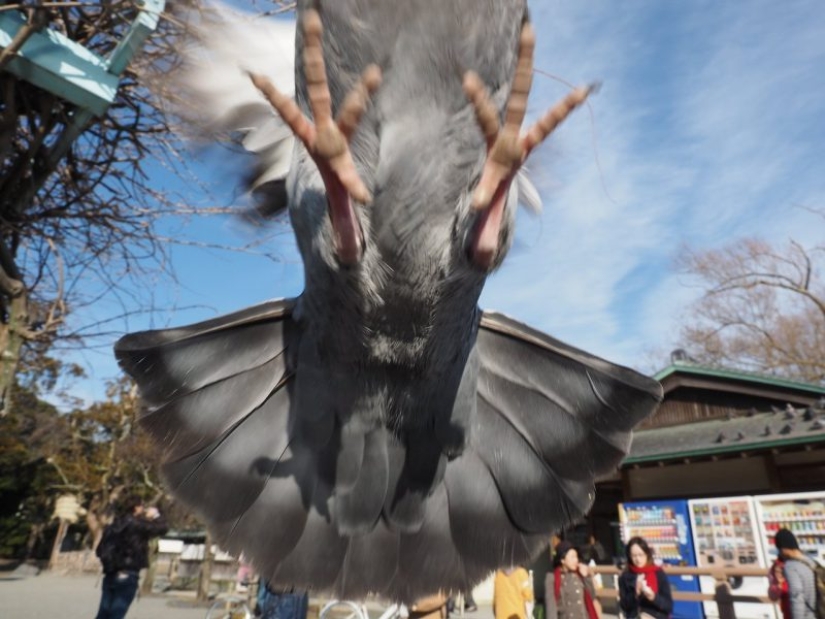 25 unexpected photos that were taken at just the right moment