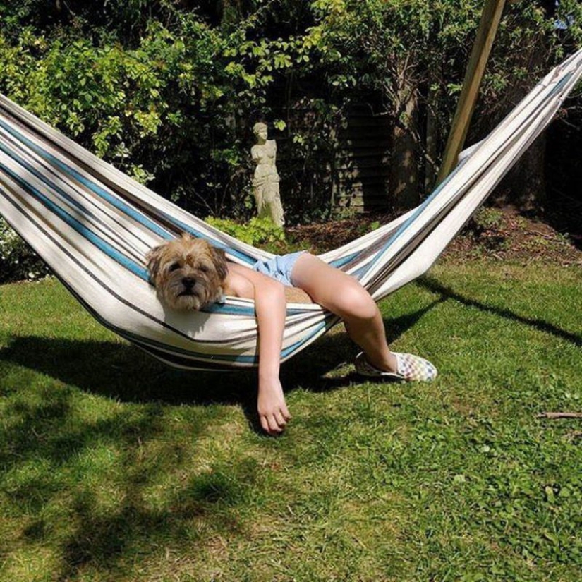 25 unexpected photos that were taken at just the right moment