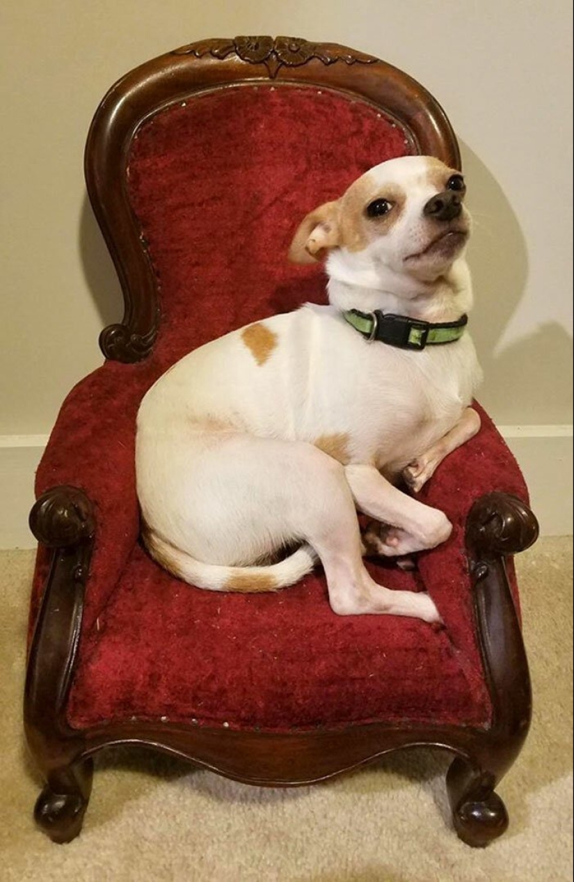 25 unusual things bought at flea markets and thrift stores 25 unusual things bought at flea markets and thrift stores