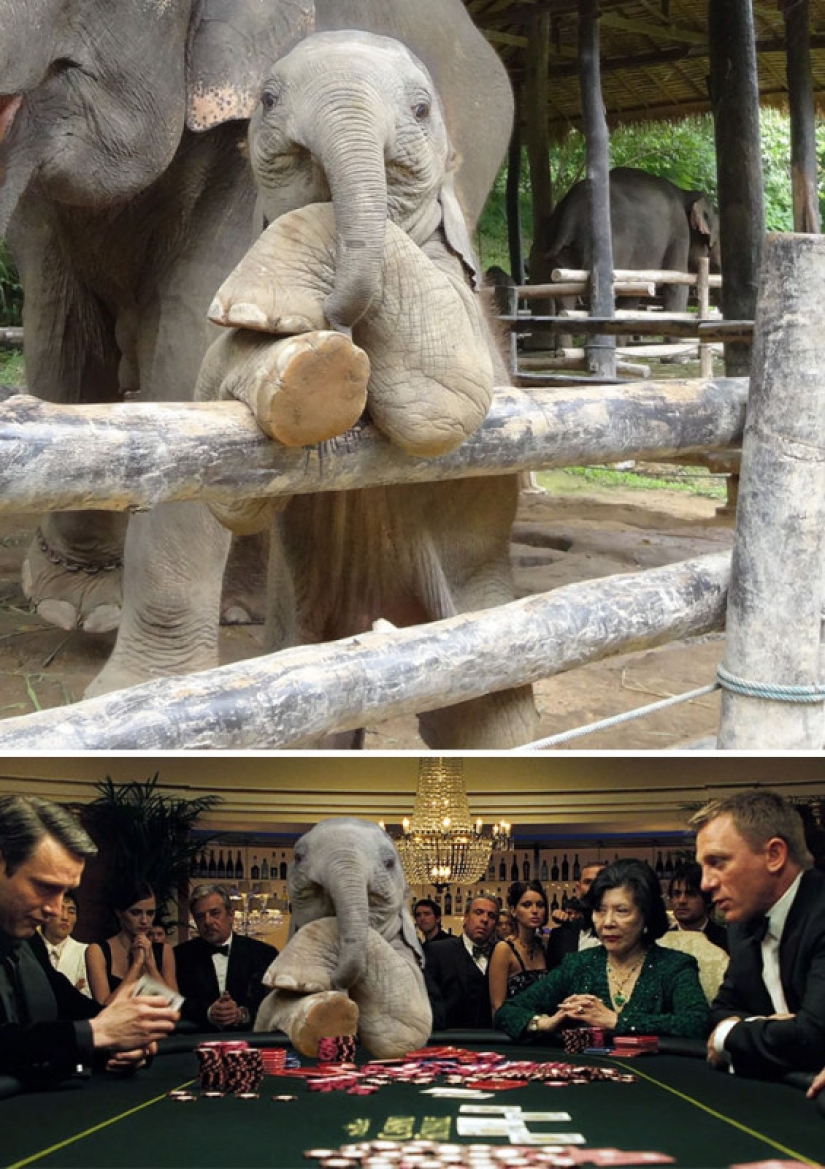 25 works of the winners of photoshop battles 25 works of the winners of photoshop battles