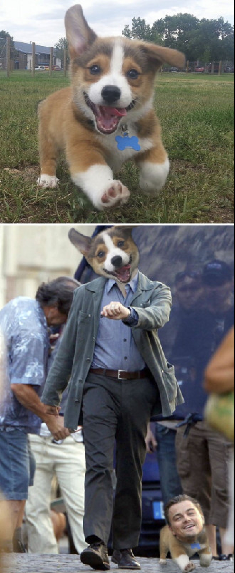 25 works of the winners of photoshop battles 25 works of the winners of photoshop battles