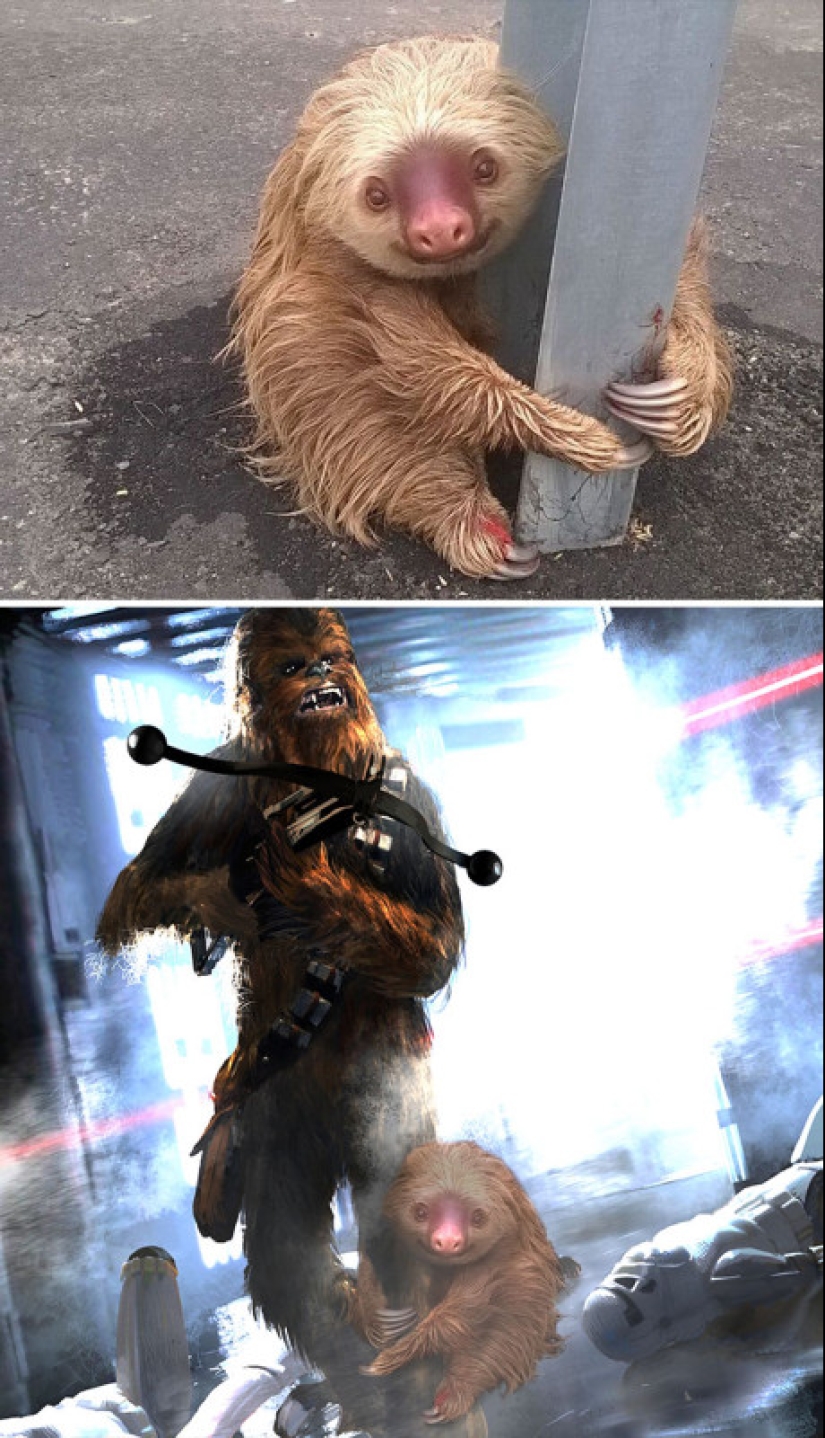 25 works of the winners of photoshop battles 25 works of the winners of photoshop battles