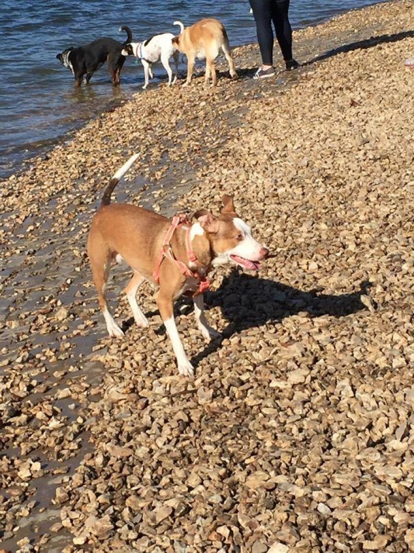 26 photos where the background is much funnier than the front 26 photos where the background is much funnier than the front