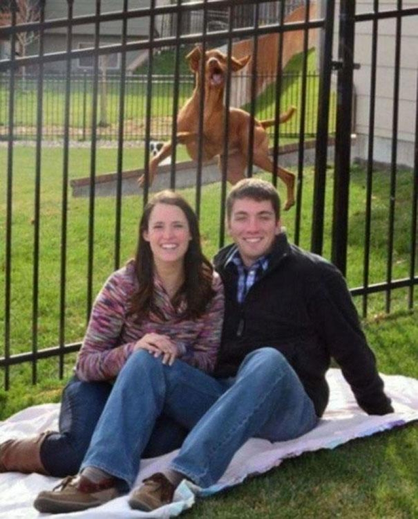 26 photos where the background is much funnier than the front 26 photos where the background is much funnier than the front