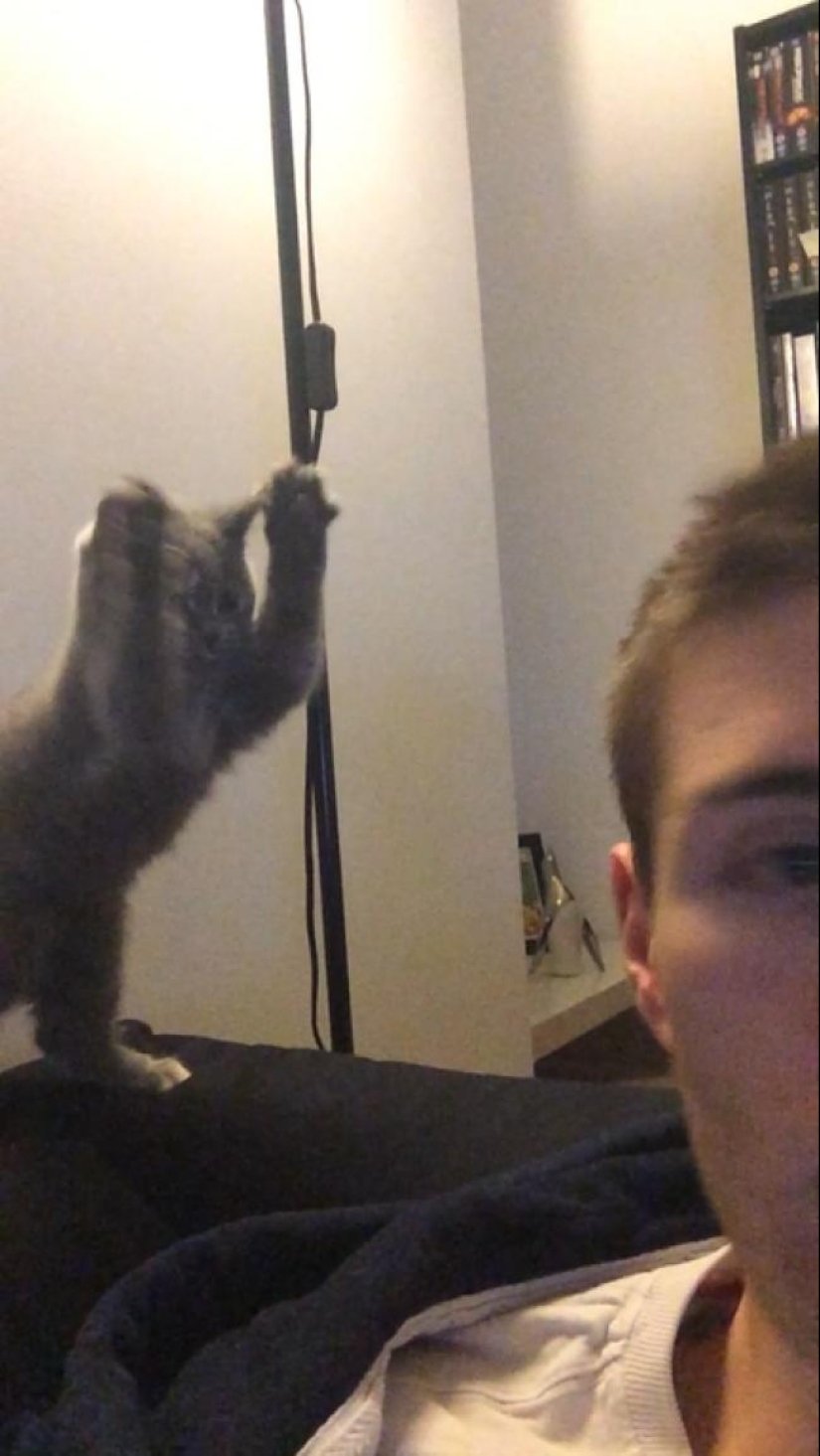 26 photos where the background is much funnier than the front 26 photos where the background is much funnier than the front