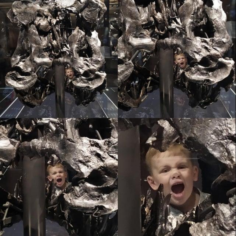 26 photos where the background is much funnier than the front 26 photos where the background is much funnier than the front