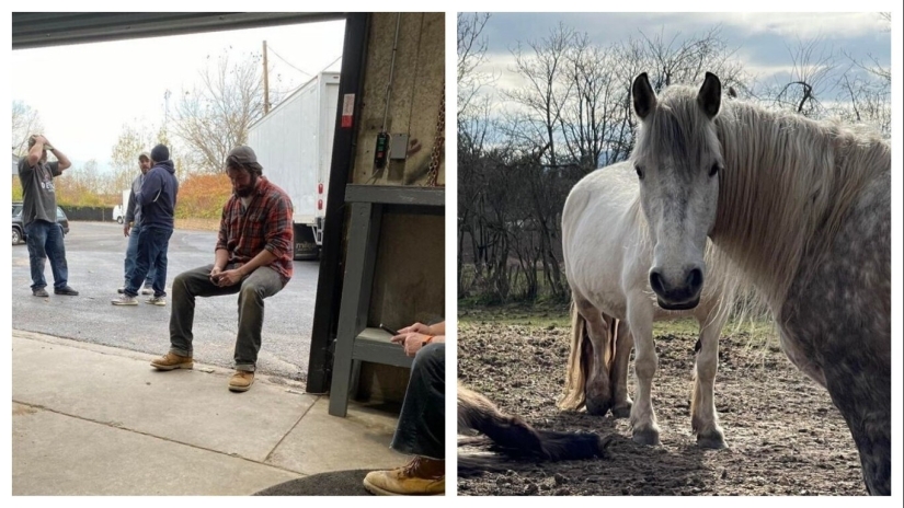 27 amazing photos that don't have a drop of photoshop on them