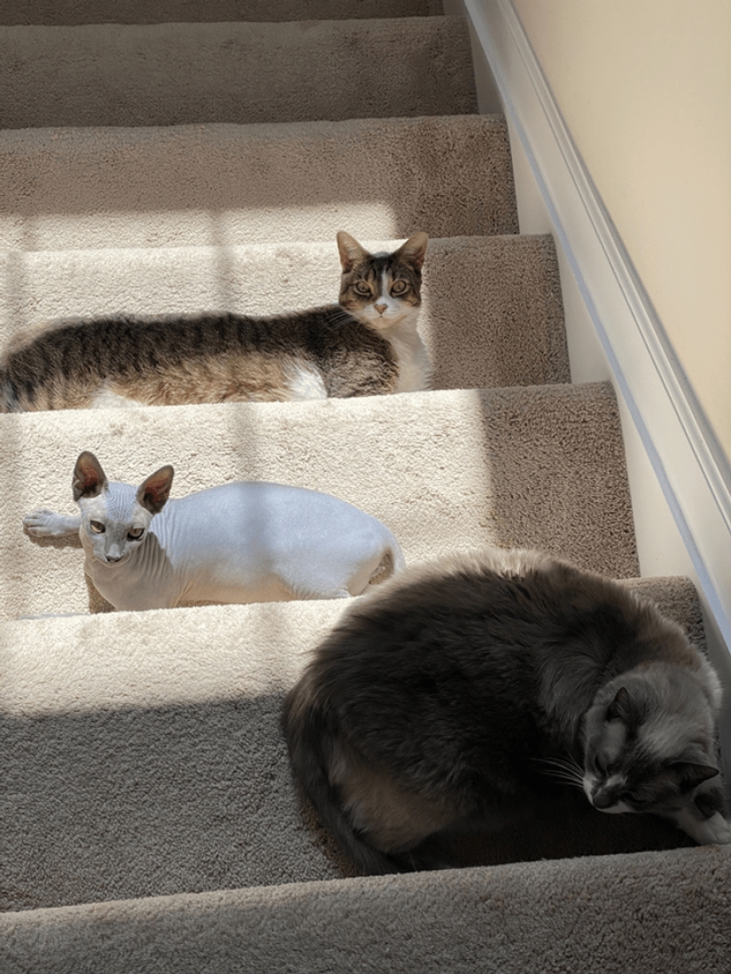 27 amazing photos that don't have a drop of photoshop on them