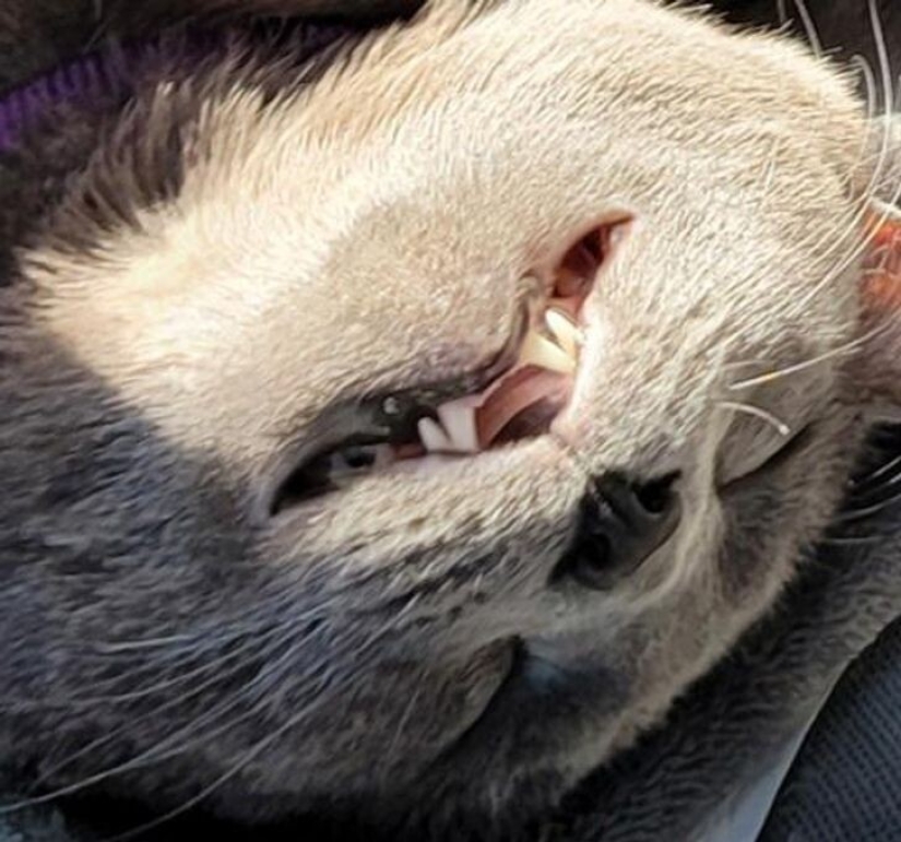 27 amazing photos that don't have a drop of photoshop on them