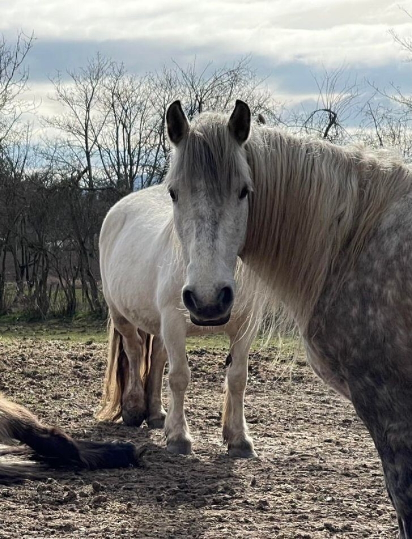 27 amazing photos that don't have a drop of photoshop on them