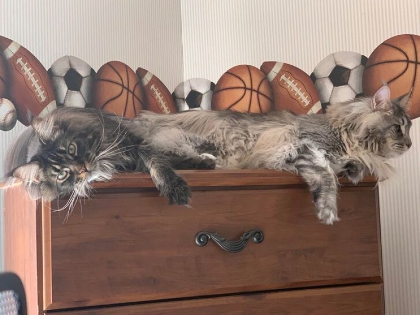 27 amazing photos that don't have a drop of photoshop on them