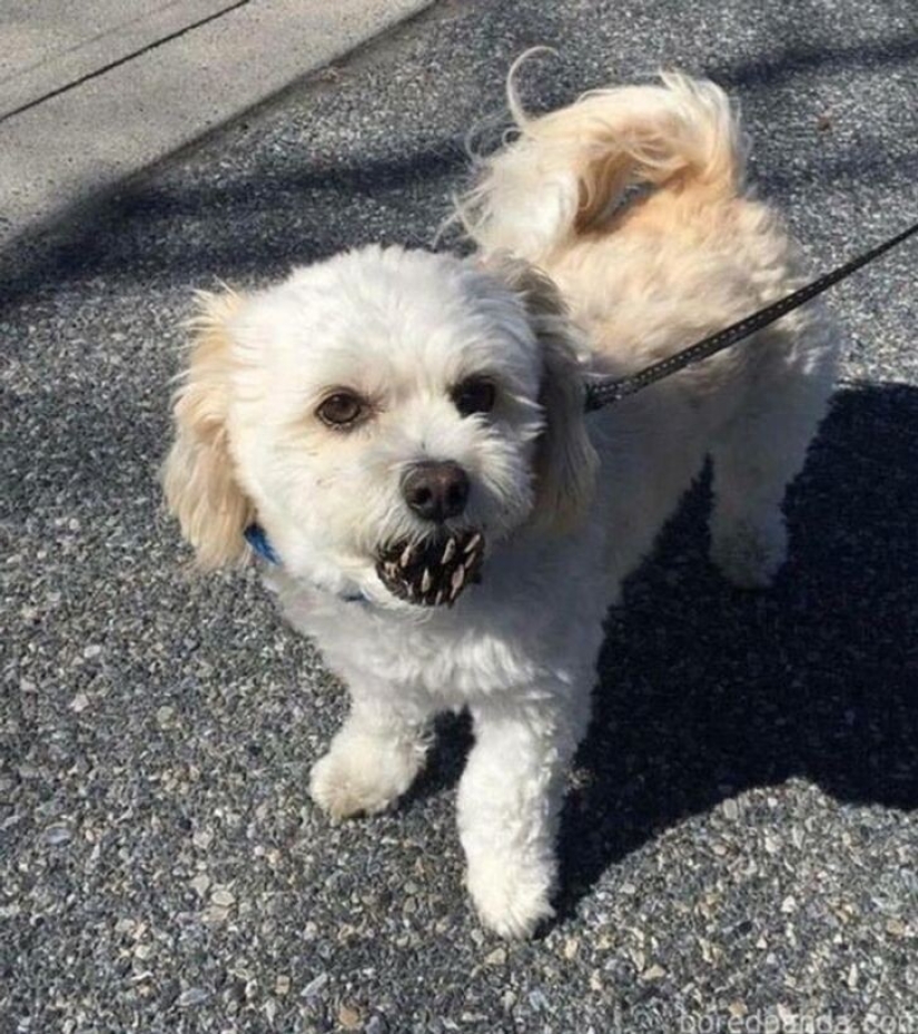 27 amazing photos that don't have a drop of photoshop on them