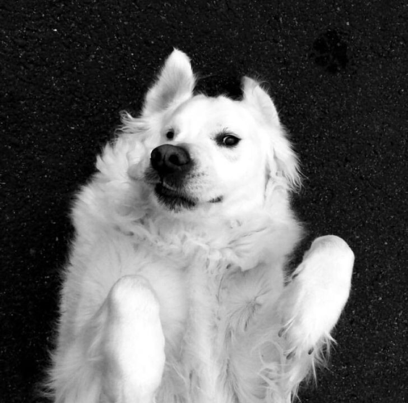 27 fotos increíbles que no tienen una gota de photoshop en ellos