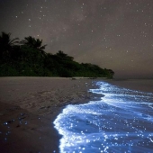 27 lugares increíbles que debes ver de primera mano