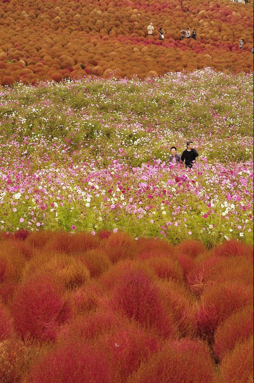 27 lugares increíbles que debes ver de primera mano