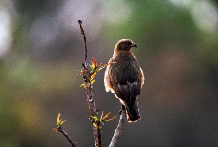 27 lugares para visitar antes de que sea demasiado tarde 27 lugares para visitar antes de que sea demasiado tarde
