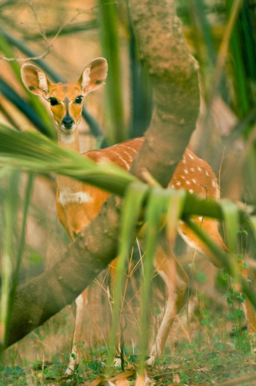 27 places to visit before it's too late 27 places to visit before it's too late