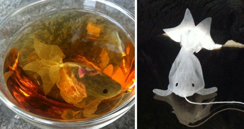 28 ejemplos de envases de alimentos ingeniosos que no pertenecen a la basura 28 ejemplos de envases de alimentos ingeniosos que no pertenecen a la basura